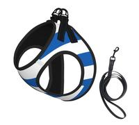 Medium Pet Leash Vest & Dog Greek Flag Print Harness Set â€“ Soft, Light, Breathable Mesh for Small Dogs & Cats