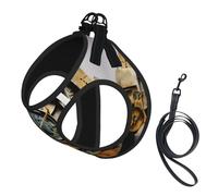 Medium Pet Leash Vest Dog Harness - Small Sized Clock Art Print Leash Set with Buckle, Canine Companion Outdoor Travel Gear