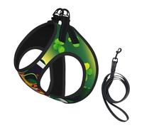 Medium Pet Leash Vest Dog Harness - Small Sized Happy St Patrick's Day Print Leash Set with Buckle, Canine Companion Outdoor Travel Gear