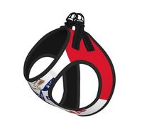 Medium Pet Leash Vest Dog Harness - Small Sized, Iowa State Flag Print Adjustable for Cats and Dogs, Perfect for Outdoor Walking