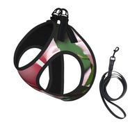 Medium Pet Leash Vest Dog Harness - Small Sized Rose Blossom Print Leash Set with Buckle, Canine Companion Outdoor Travel Gear