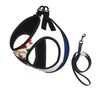 Medium Pet Leash Vest & Dog West Virginia Flag Print Harness Set â€“ Soft, Light, Breathable Mesh for Small Dogs & Cats
