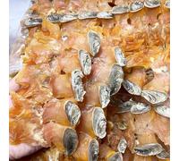 Medium Size American Dried whelk Conch Slices with Shell Conch Cracker Slices 美國有掩大螺片 Free worldwide airmail (1 LB (Around 38 pieces))