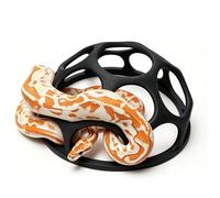 Medium Snake Jungle Gym for Small and Medium Snakes, Reptile Climbing Frame and Enrichment Decor for Corn Snakes, Hognose Snakes, Juvenile Ball Pythons, Bearded Dragons, Chameleons and Geckos(Black)