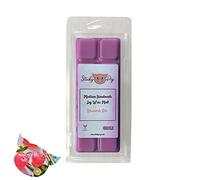 Medium Wax MELT Clamshell BAR - Snap Tart Handcrafted Soy Wax Vegan Long Lasting Highly Scented Handmade Wax Melts (Rhubarb Gin)