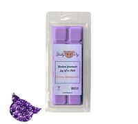 Medium Wax MELT Clamshell BAR - Snap Tart Handcrafted Soy Wax Vegan Long Lasting Highly Scented Handmade Wax Melts (Dreams Stoppables)