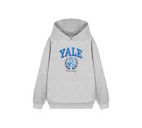 Yale Unisex Grey Dog Hoodie - Medium
