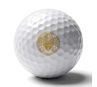 Medusa Head on A Shield Novelty Golf Balls Funny Elastic Golfs Training Ball Outdoor Sports Goods
