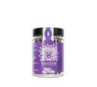 Medusafilters 100 Premium Carbon Filters Slim in a Glass Ø 6mm | Tip Size | Violet Edition | with Vegan Fibre caps and Coconut Shell Activated Carbon