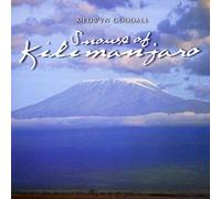 Medwyn Goodall - Snows of Kilimanjaro