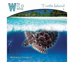 Medwyn Goodall Turtle Island (CD) Album (US IMPORT)