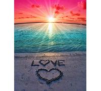 Meecaa Cross Stitch Kit 11 Count Stamped Embroidery with Accessories (36CMx46CM) - Love Design