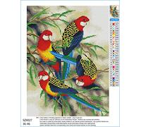 Meecaa Cross Stitch Kits 11 Count Stamped, Bird Kingfisher Animal Tree Embroidery Kit with Accessories Pre Printed (36CMx46CM) (Bird)