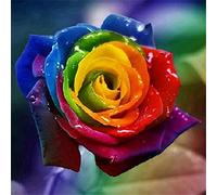 Meecaa Cross Stitch Kits 11 Count Stamped, Colored Rose Flower Plant Embroidery Kit with Accessories Pre Printed (36CMx36CM) (Rose)