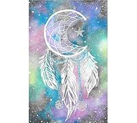 Meecaa Cross Stitch Kits 11 Count Stamped, Dream Catcher Stars Embroidery Kit with Accessories Pre Printed (36CMx46CM) (Dreamcatcher)