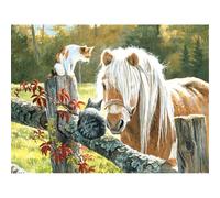 Meecaa Cross Stitch Kits 11 Count Stamped, Horse Cat Animal Embroidery Kit with Accessories Pre Printed (30CMx40CM) (Horse Cat)