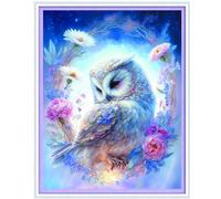 Meecaa Cross Stitch Kits 11 Count Stamped, Owl Flower Animal Embroidery Kit with Accessories Pre Printed (40CMx50CM) (Owl 2)
