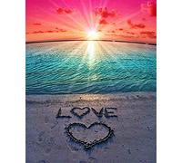 Meecaa Cross Stitch Kits 11 Count Stamped, XXXXXX Embroidery Kit with Accessories Pre Printed (36CMx46CM) (Love)