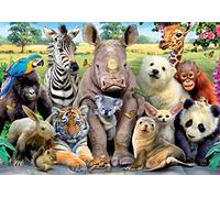 Meecaa Paint by Numbers Animal Zebra Tiger Panda Orangutan Hippopotamus Bird Kit for Adults Beginner DIY Oil Painting 16x20 inch (Animal, Framed)
