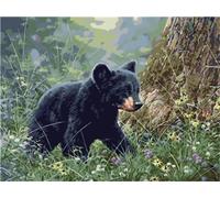 Meecaa Paint by Numbers Bear Animal Nature Kit for Adults Beginner DIY Oil Painting 16x20 inch (Bear, No Frame)