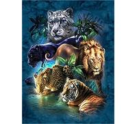 Meecaa Paint by Numbers Beast Animal Lion Tiger Leopard Kit for Adults Beginner DIY Oil Painting 16x20 inch (Beast, Framed)