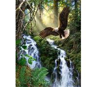 Meecaa Paint by Numbers Eagle Jungle Tree Landscape Kit for Adults Beginner DIY Oil Painting 16x20 inch (Eagle, No Frame)