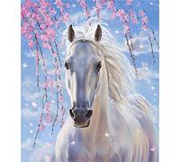 Meecaa Paint by Numbers Horse Animal Flower Kit for Adults Beginner DIY Oil Painting 16x20 inch (Horse, No Frame)