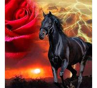 Meecaa Paint by Numbers Horse Rose Animal Landscape Kit for Adults Beginner DIY Oil Painting 16x20 inch (Horse, No Frame)