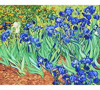 Meecaa Paint by Numbers Iris Flower Picasso Kit for Adults Beginner DIY Oil Painting 16x20 inch (Flower, No Frame)