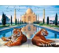 Meecaa Paint by Numbers Kit - Taj Mahal & Tiger Design, Ideal for Adults & Beginners, 16x20 inch Canvas