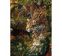 Meecaa Paint by Numbers Leopard Jungle Tree Animal Kit for Adults Beginner DIY Oil Painting 16x20 inch (Leopard, Framed)