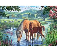 Meecaa Paint by Numbers Mother Horse Bird Creek Flower Kit for Adults Beginner DIY Oil Painting 16x20 inch (Horse, Framed)