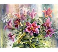 Meecaa Paint by Numbers Pink Lily Flower Gypsophila Kit for Adults Beginner DIY Oil Painting 16x20 inch (Lily, No Frame)