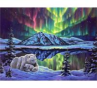 Meecaa Paint by Numbers Polar Bear Aurora Tree Lake Landscape Kit for Adults Beginner DIY Oil Painting 16x20 inch (Polar Bear, No Frame)