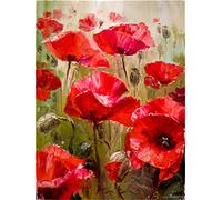 Meecaa Paint by Numbers Poppies Flower Kit for Adults Beginner DIY Oil Painting 16x20 inch (Flower 3, No Frame)