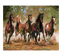 Meecaa Paint by Numbers Running Horse Animal Splash Kit for Adults Beginner DIY Oil Painting 16x20 inch (Horse, Framed)