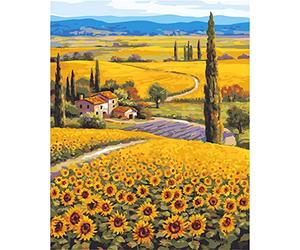 Meecaa Paint by Numbers Sunflower Field Landscape Kit for Adults Beginner DIY Oil Painting 16x20 inch (Sunflower, Framed)
