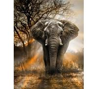Meecaa Paint by Numbers Sunset Elephant Kit for Adults Beginner DIY Oil Painting 16x20 inch (Elephant, No Frame)