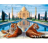 Meecaa Paint by Numbers Taj Mahal Building Tiger Animal Kit for Adults Beginner DIY Oil Painting 16x20 inch (Taj Mahal, No Frame)