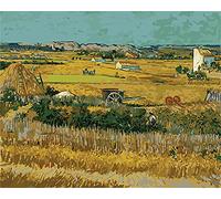 Meecaa Paint by Numbers Wheat Field Van Gogh Natural Kit for Adults Beginner DIY Oil Painting 16x20 inch (Wheat Field, No Frame)