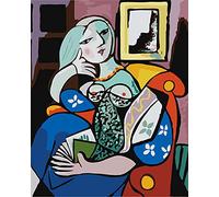 Meecaa Paint by Numbers Woman with Book Impressionism Picasso Kit for Adults Beginner DIY Oil Painting 16x20 inch (Woman, No Frame)
