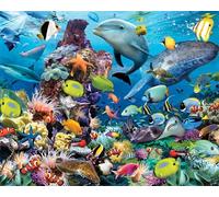 Meecaa Paint by Numbers XXXX Kit for Adults Beginner DIY Oil Painting 16x20 inch (Dolphin, No Frame)