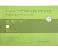 MEEDEN Watercolour Paper Block, 300gsm Textured Surface Cotton Watercolour Paper Pad, Cold Pressed, 20 Sheets for Painting & Drawing, Wet, Mixed Media, 26×18 cm