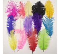 Meena Supplies Pack of 5 Ostrich Feathers 9 Inch 22cm Long in Many Colours Large (Lemon Yellow)