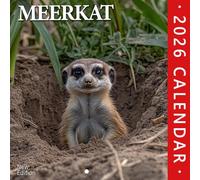 Meerkat 2026 Wall Calendar: Alert expressions and group antics from sandy homes