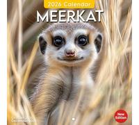 Meerkat 2026 Wall Calendar: Alert expressions and group antics from sandy homes