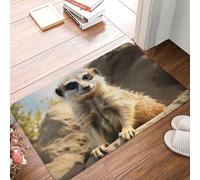 Meerkat Animal Front Doormats Washable Entrance Rug Backed Dust Welcome Mat For Outdoor Pets Indoor 40 X 60Cm