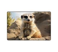 Meerkat Animal Modern Area Rug 2x3 Ft, Ultra Soft Washable Throw Rugs Short Plush Non Slip Floor Mats Indoor Floor Stain Resistant Carpets for Living Room Bedroom Office Dorm Home Decor