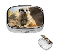 Meerkat Animal Pill Case with Mirror Retro 2 Compartment Pill Box Small Pill Organizer for Purse or Pocket Decorative Metal Medicine Vitamin Organizer Unique Gifts