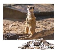 Meerkat Animals Zoo Nature Puzzles 500 Piece Puzzles Jigsaw Puzzles for Adults Educational Game Challenge Toy 500pcs (52x38cm)